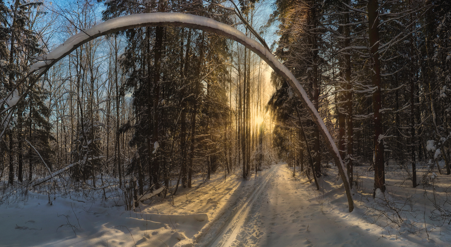 По зимнему лесу