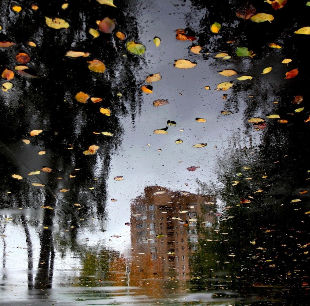 Осенний сон