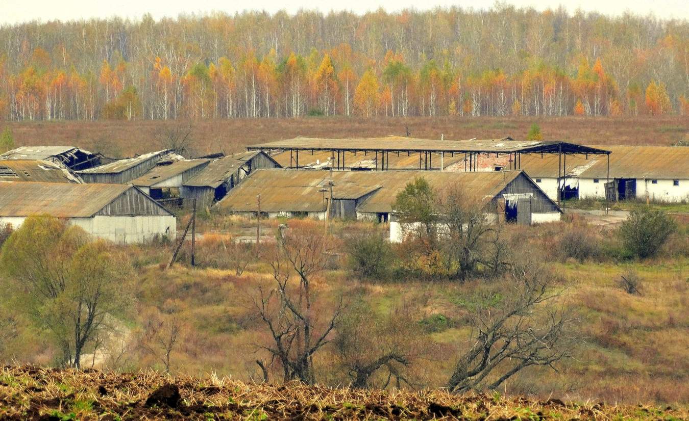 Осенний сон