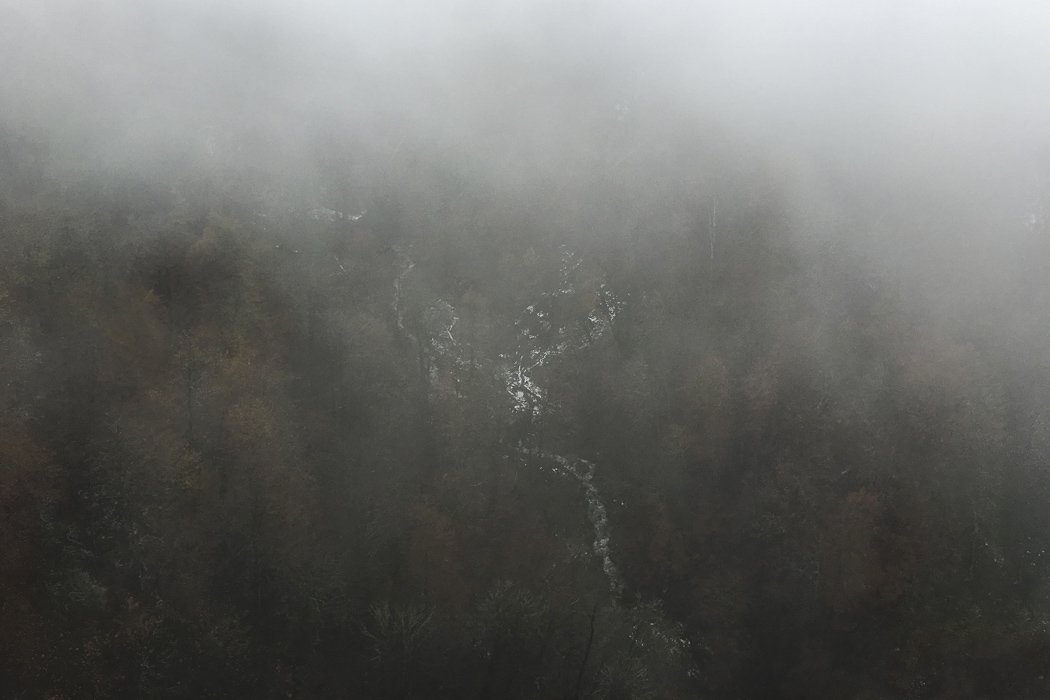 Осенний сон