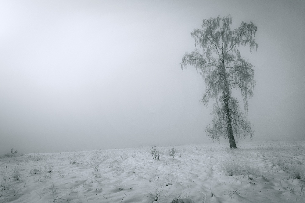 Осенний сон