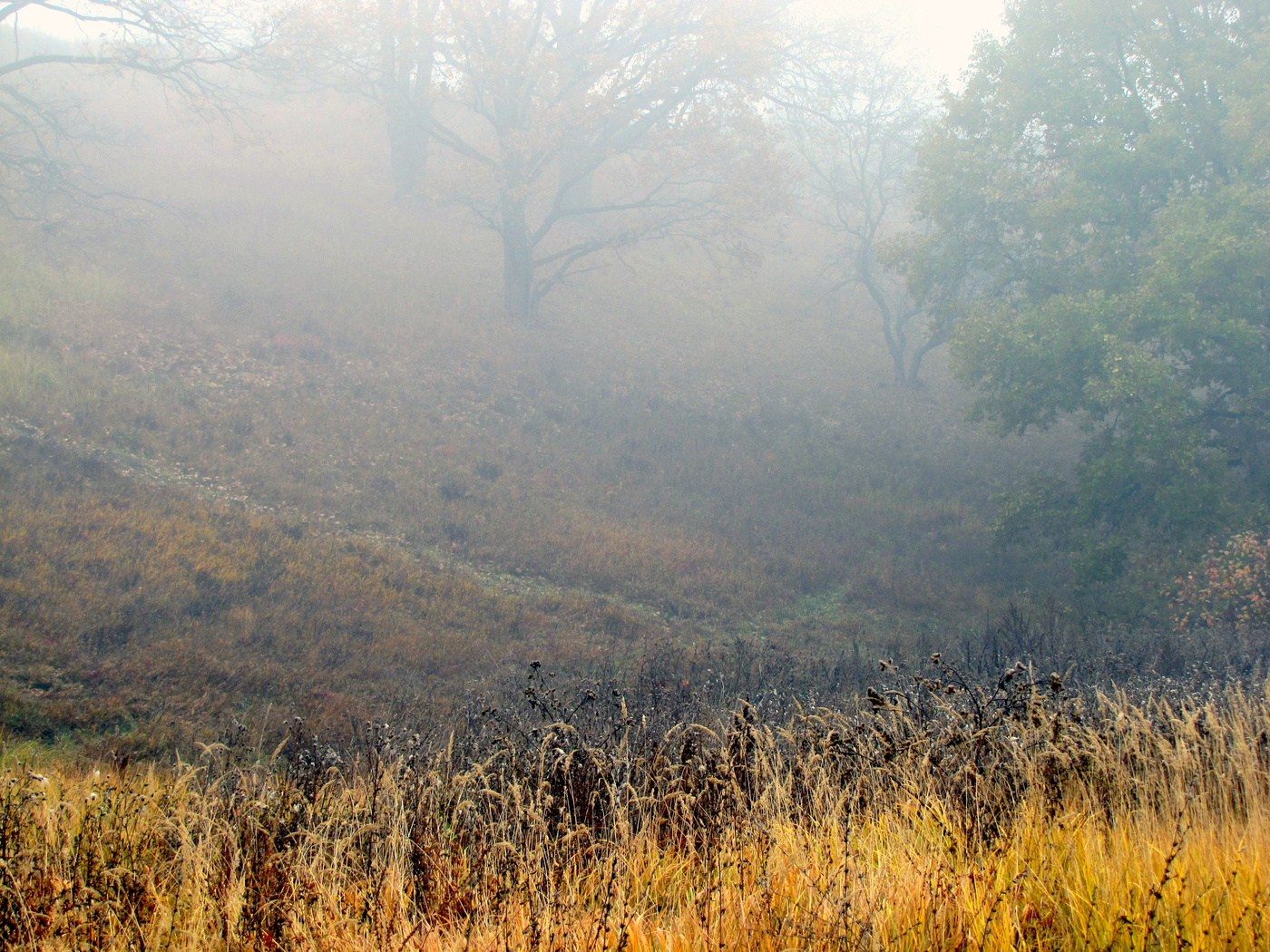 Осенний сон