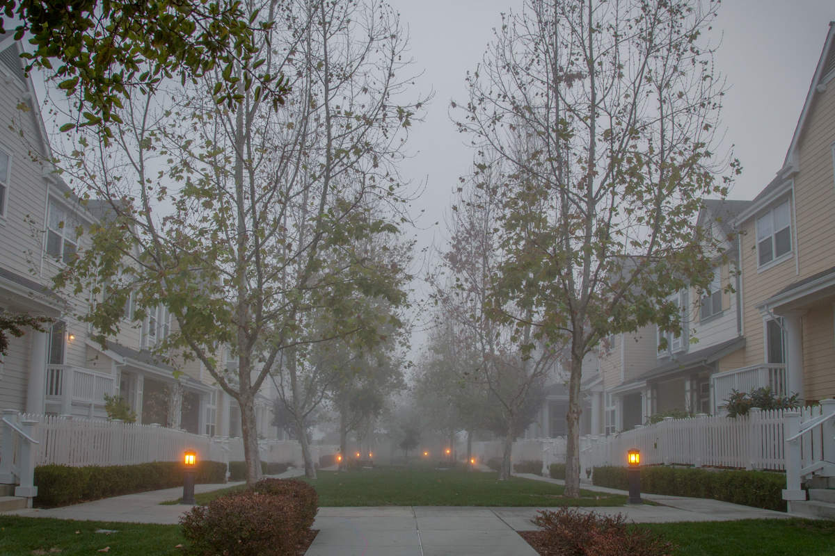 Осенний сон