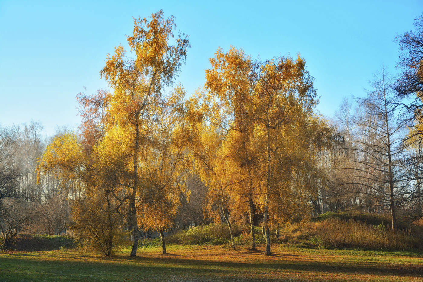 Осенний сон