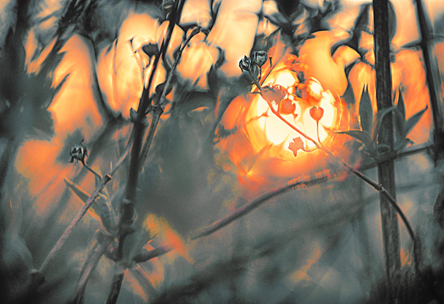 Осенний сон