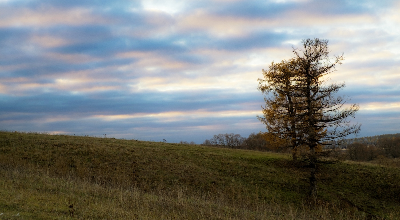 Прощальный аккорд осени