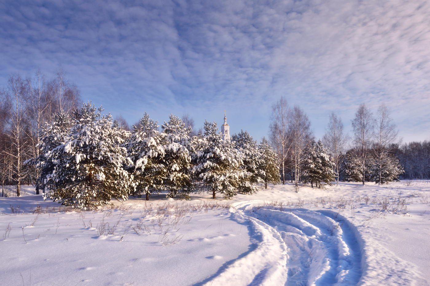 зимний день
