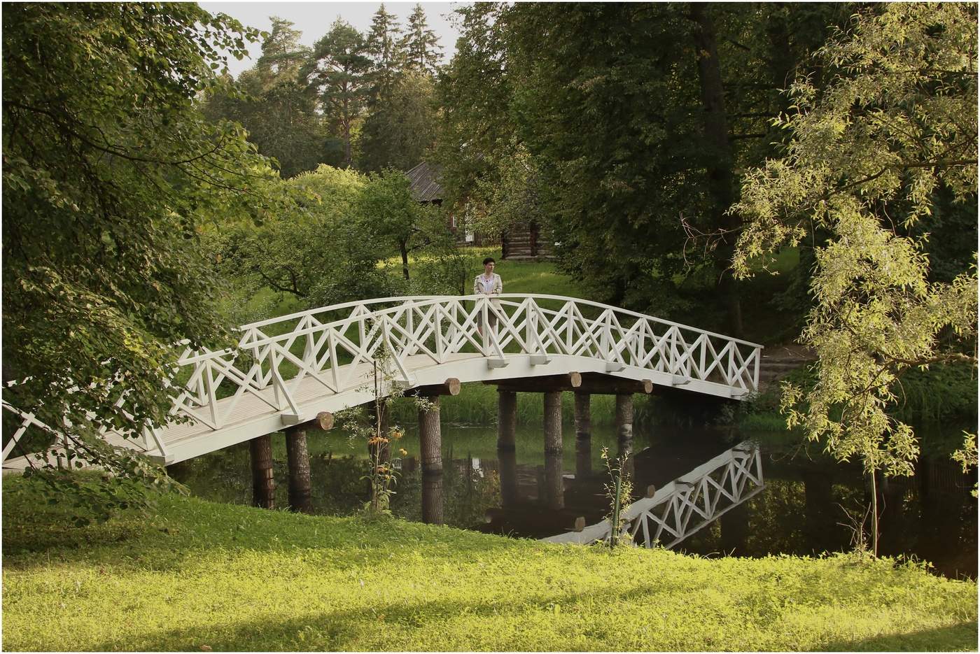 Михайловское 5