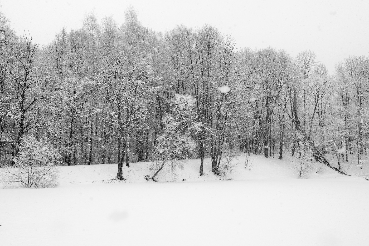 "Наземь падает навзничь зима..."