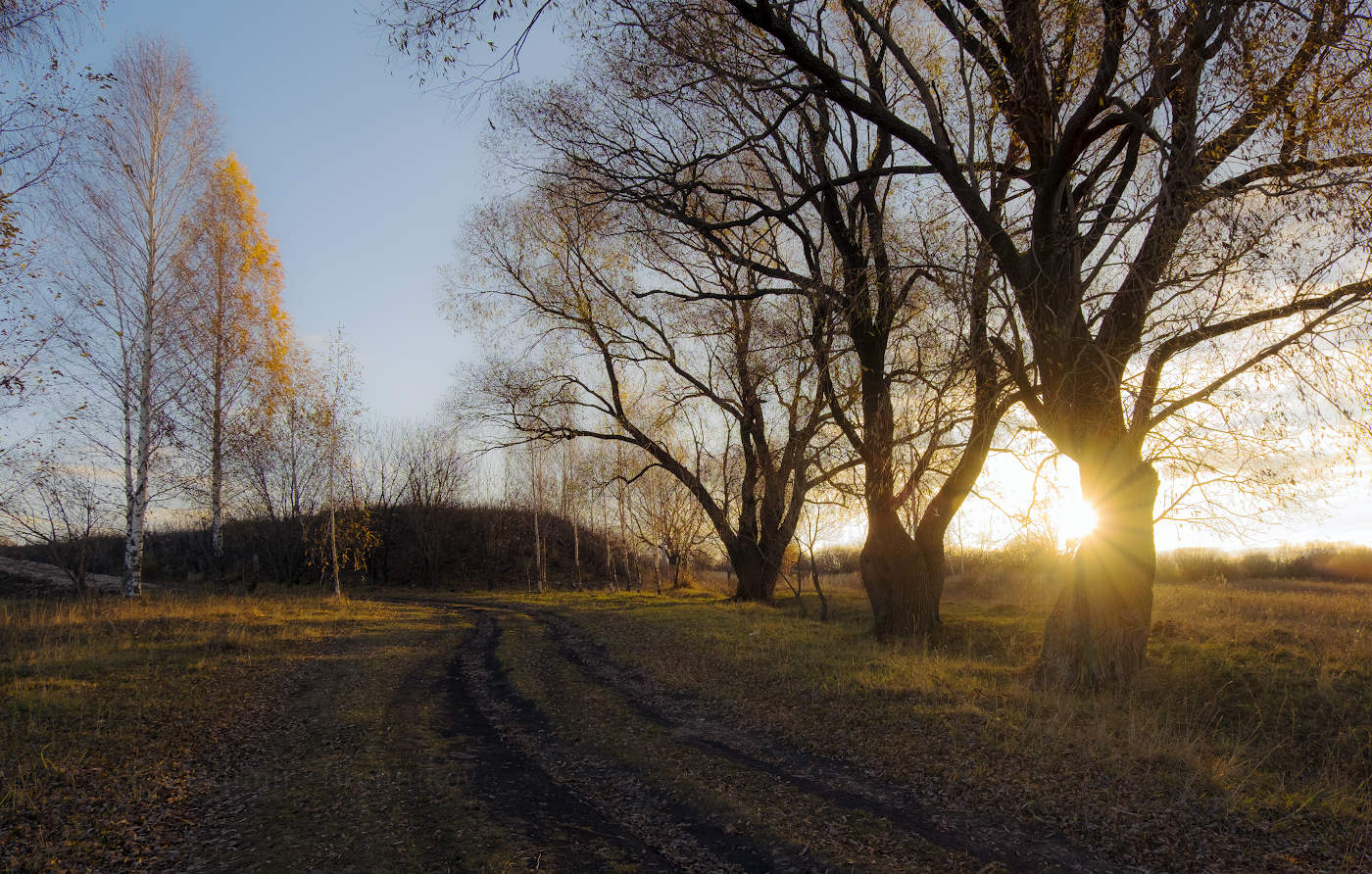 Тепло уходящей осени