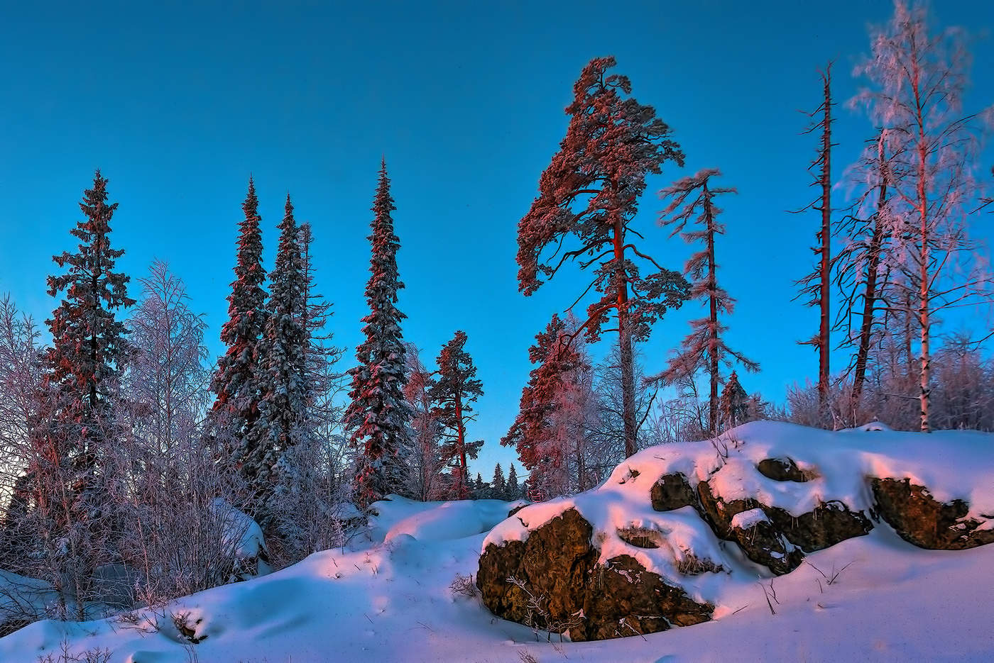 Утренний свет