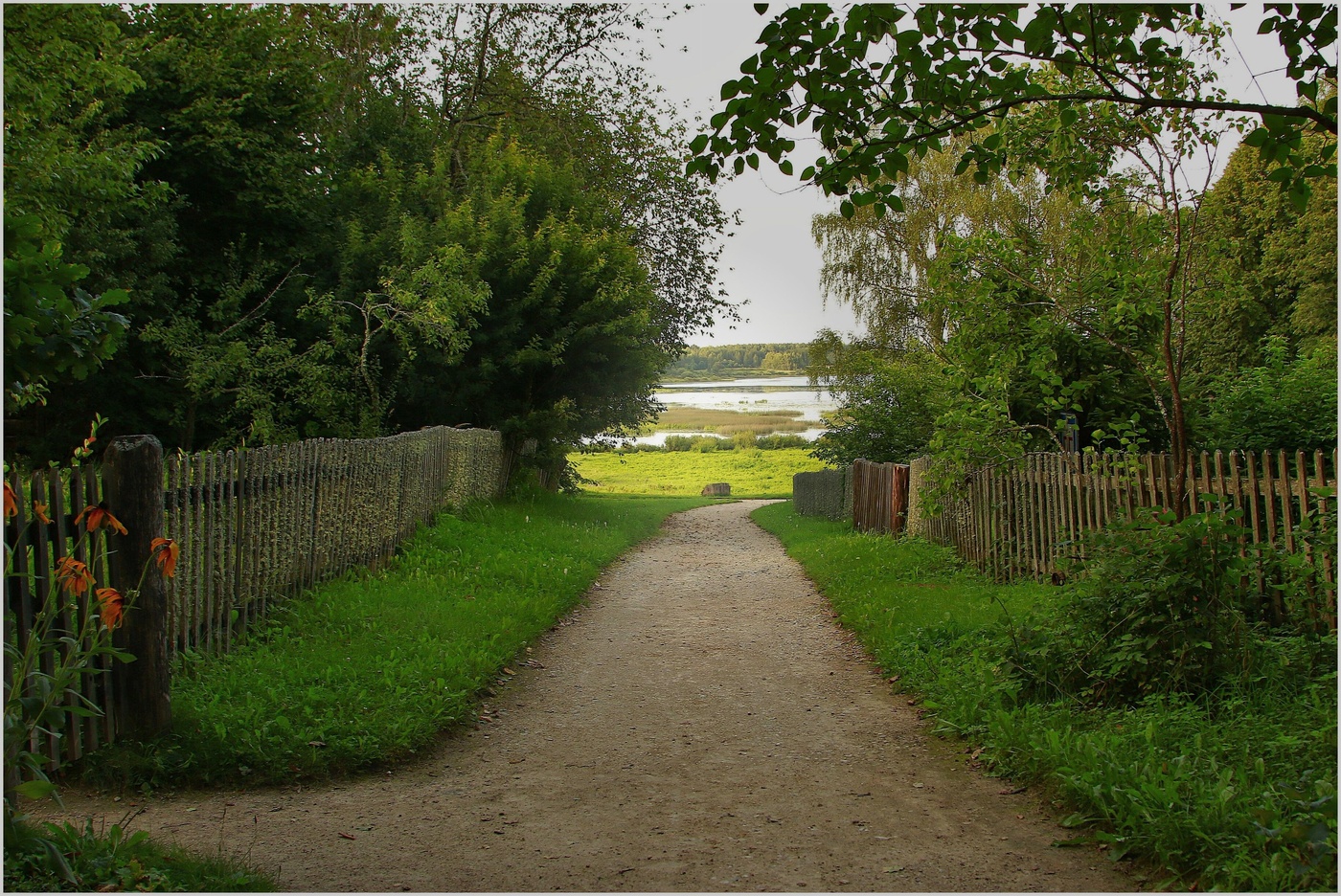 Михайловское 6