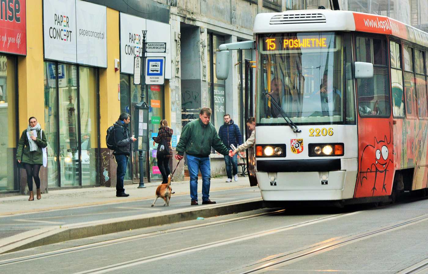Элементарная культура ...