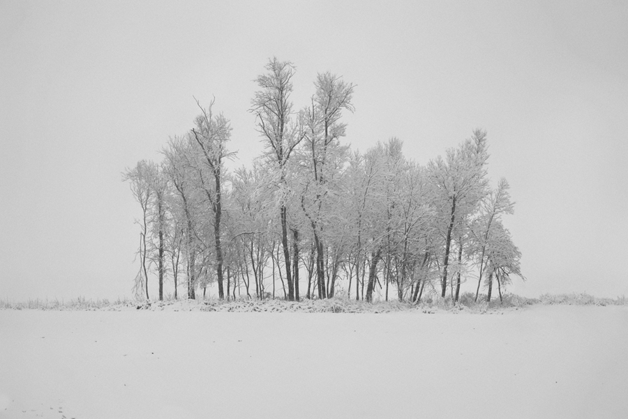 Последний день осени...(первый снег).