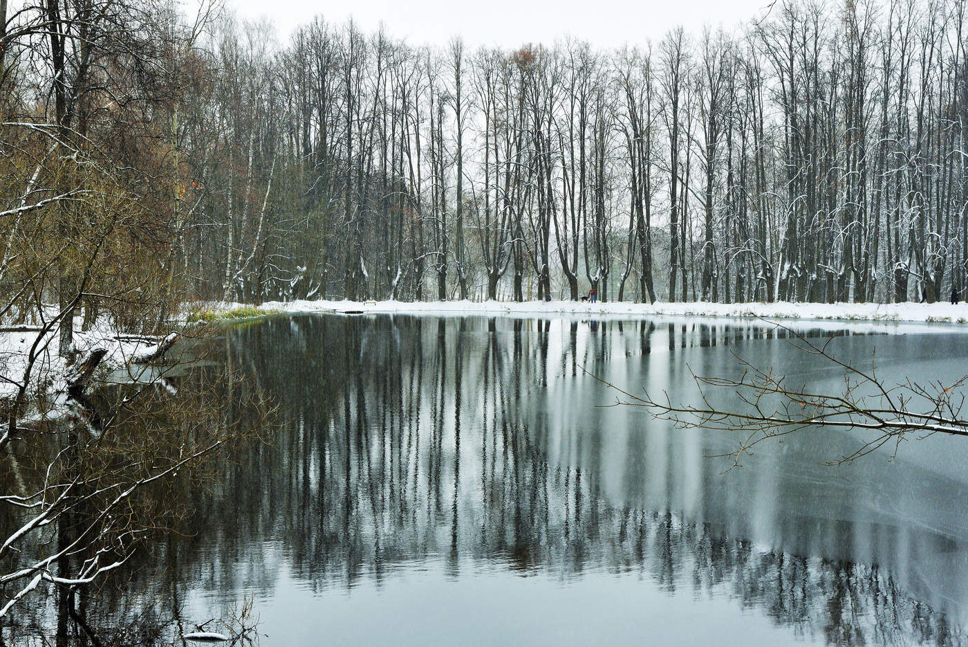 Уже ноябрь ......