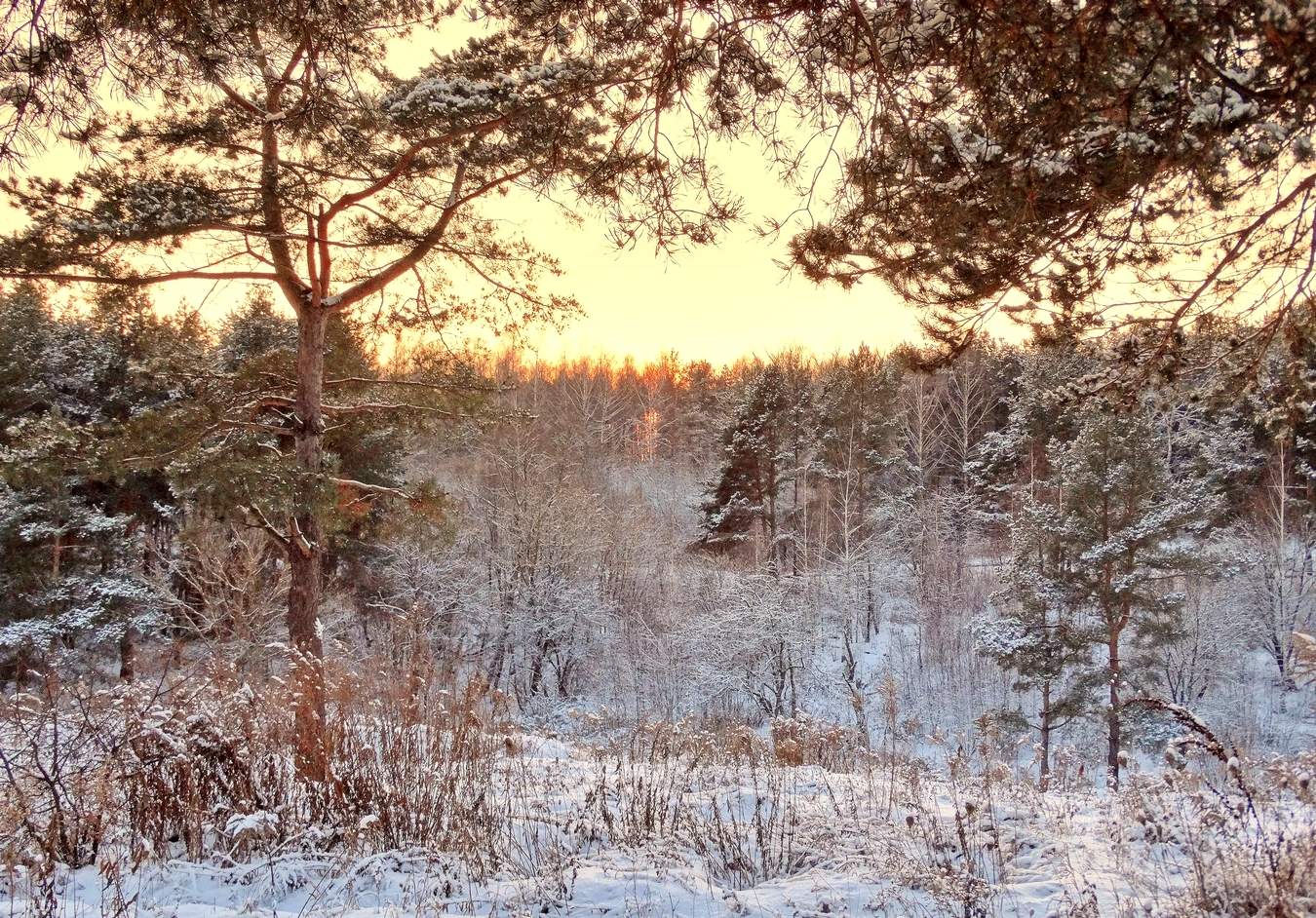 Здравствуй зимушка-зима