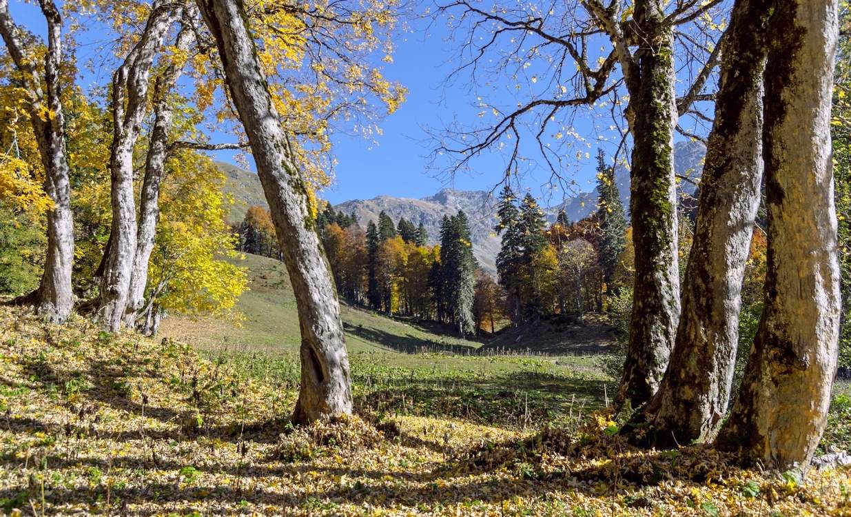 Осенние радости...