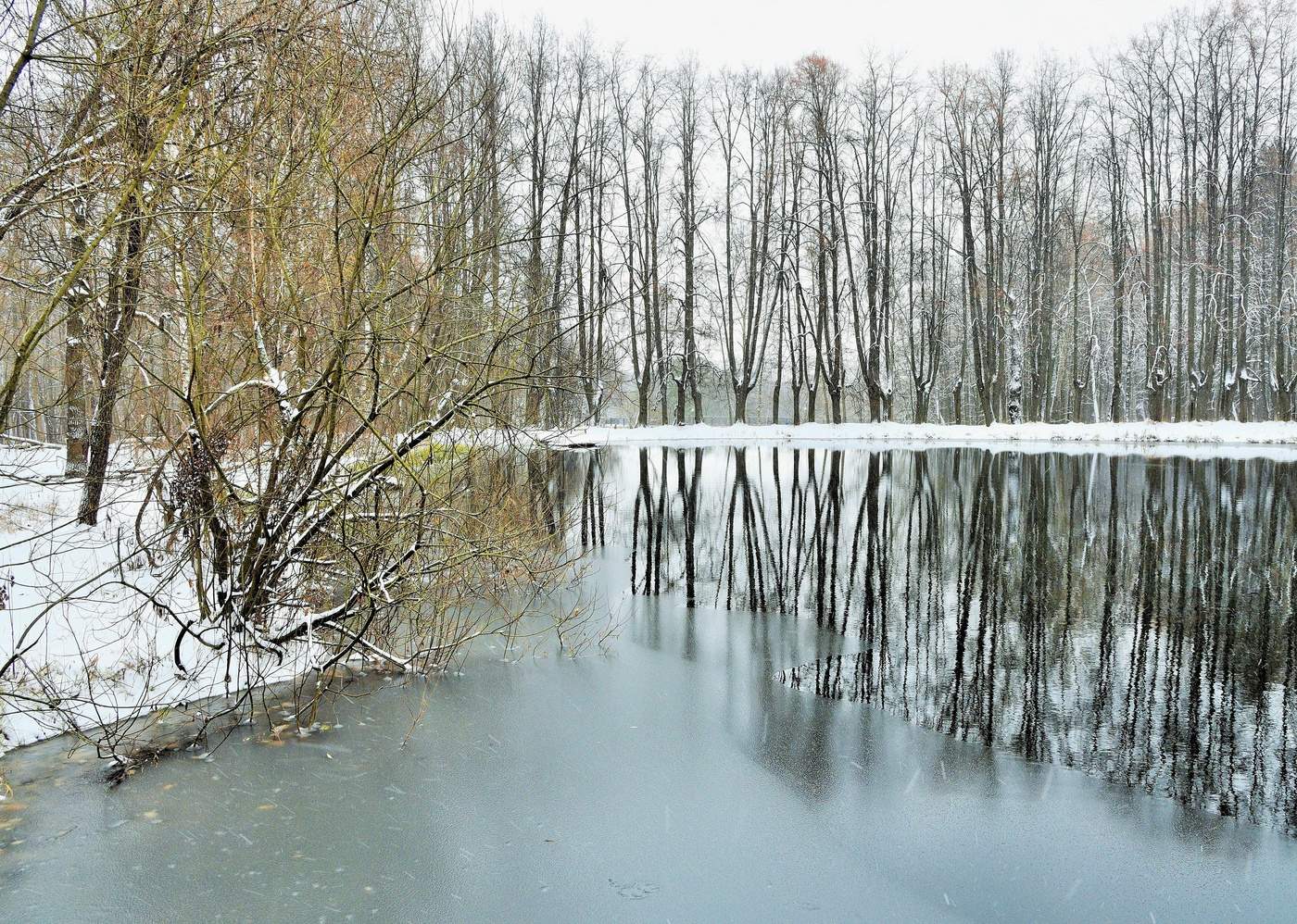 Последний месяц осени ...