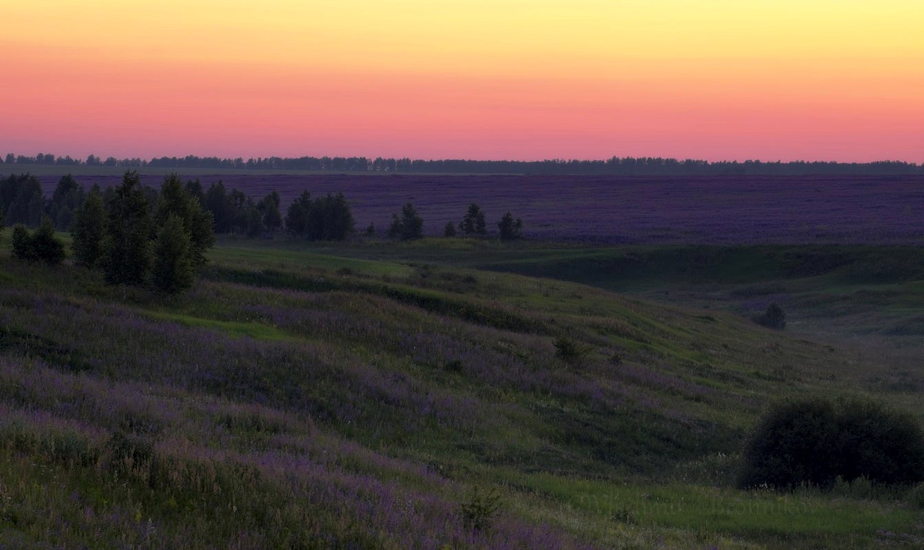 Закат в сиреневых тонах