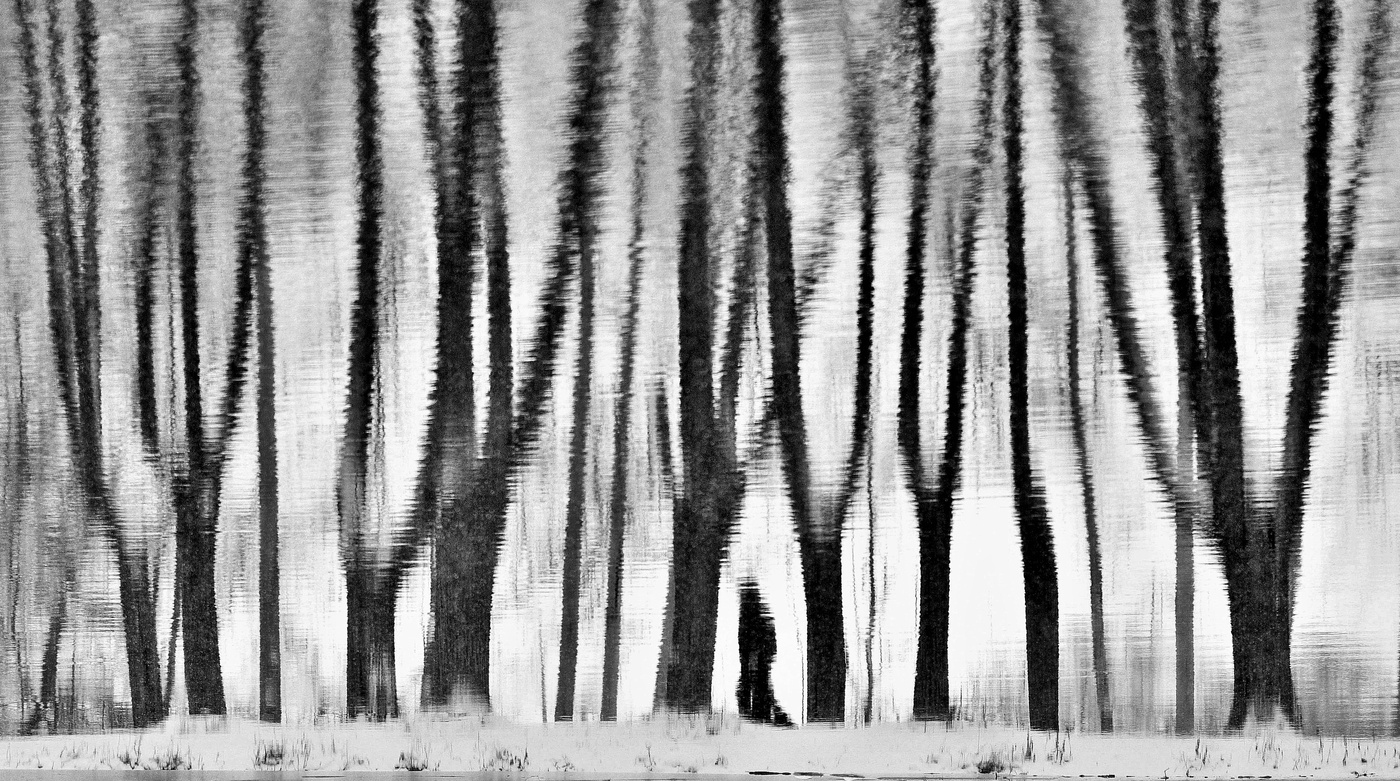 Земную жизнь пройдя до половины...