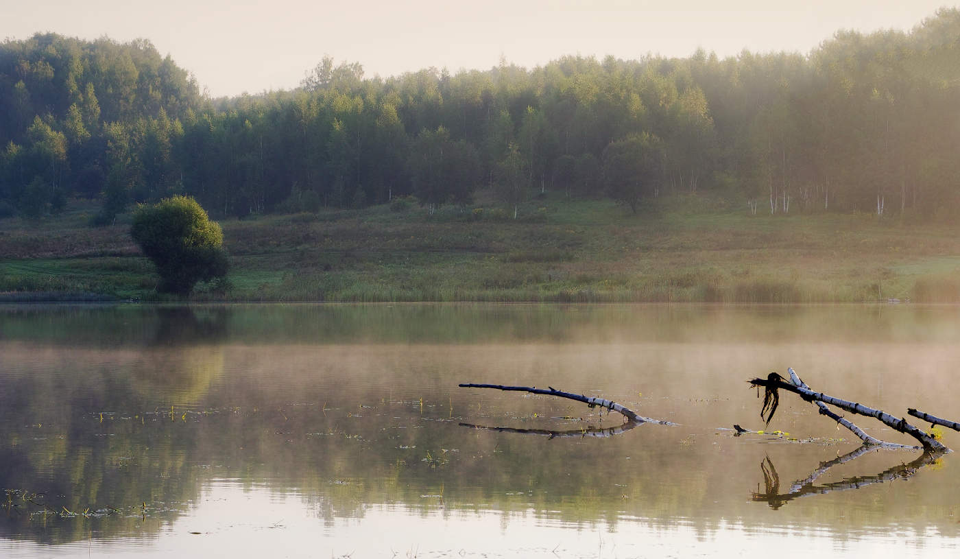Прозрачная тишина