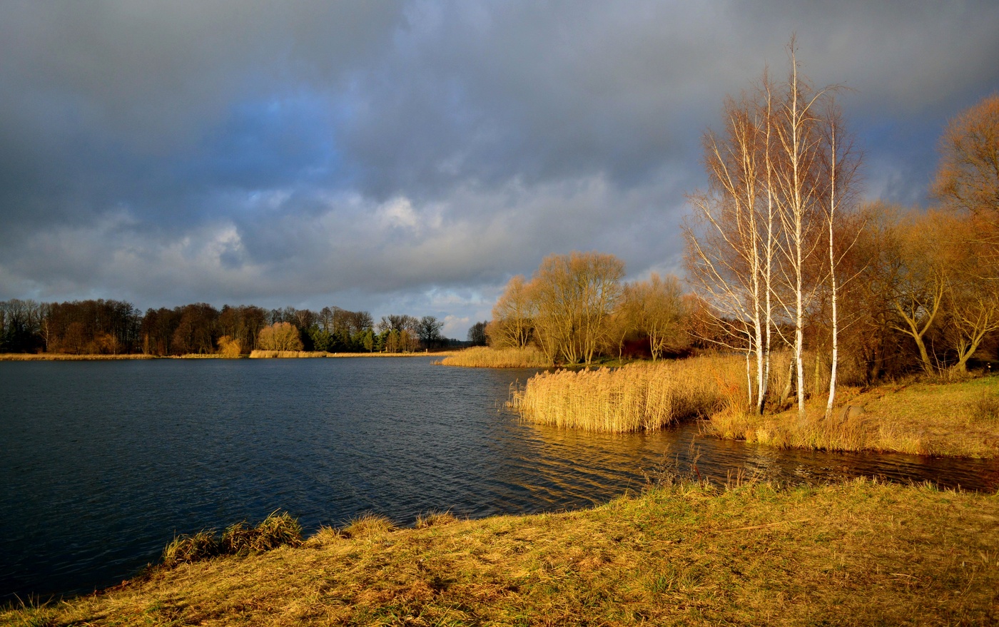 В ожидании зимы