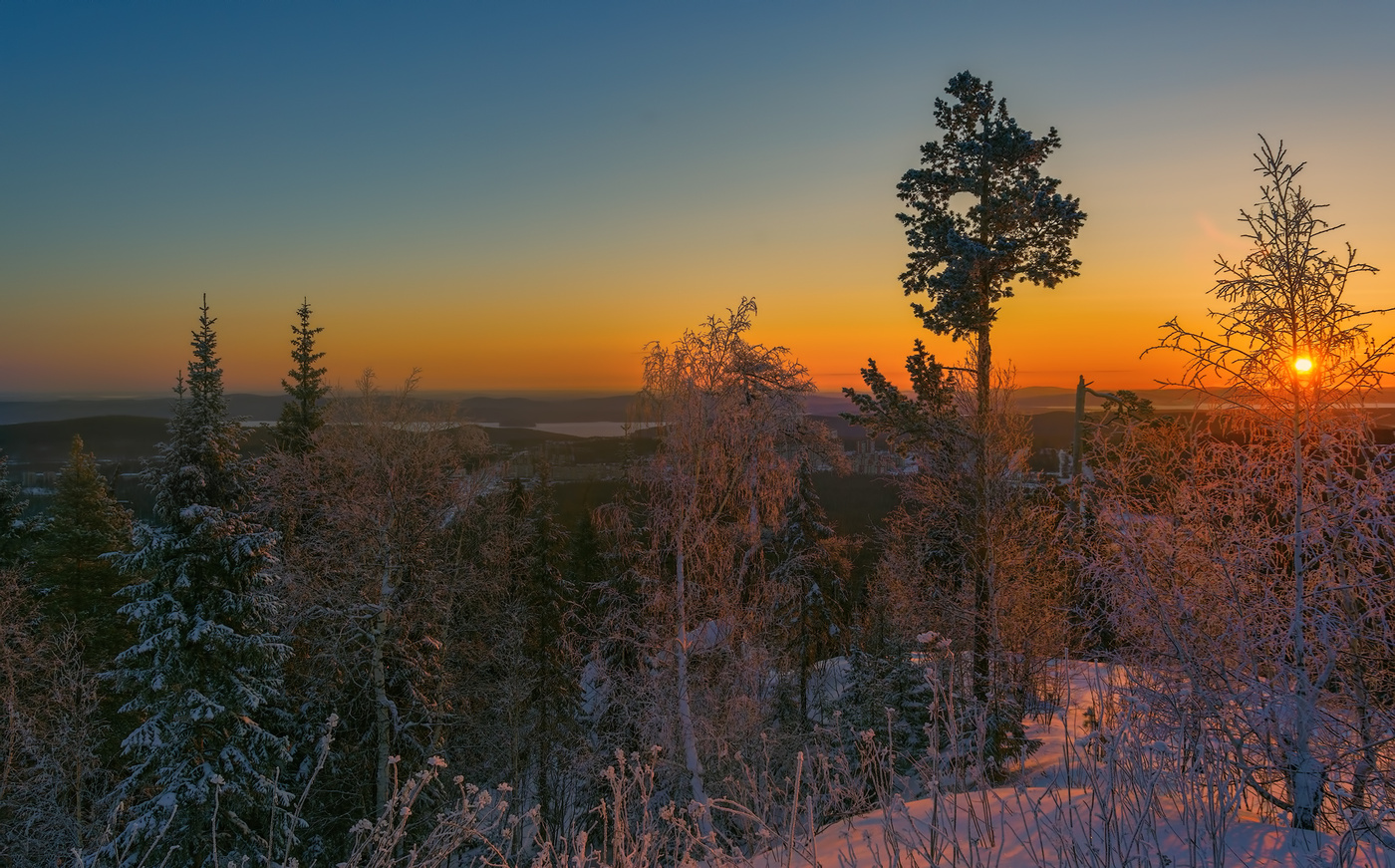 Зимнее утро