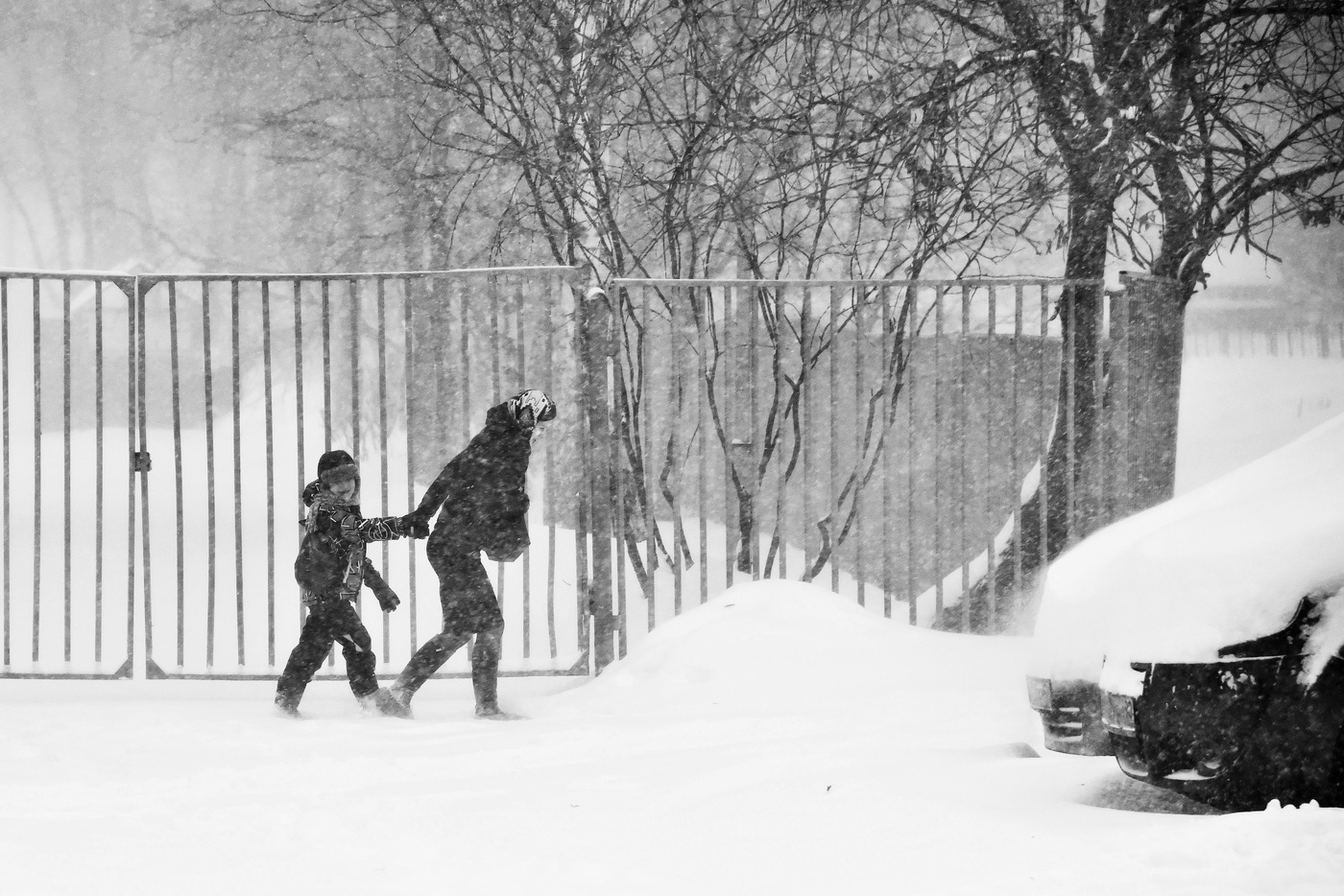 Домой... скорей домой...