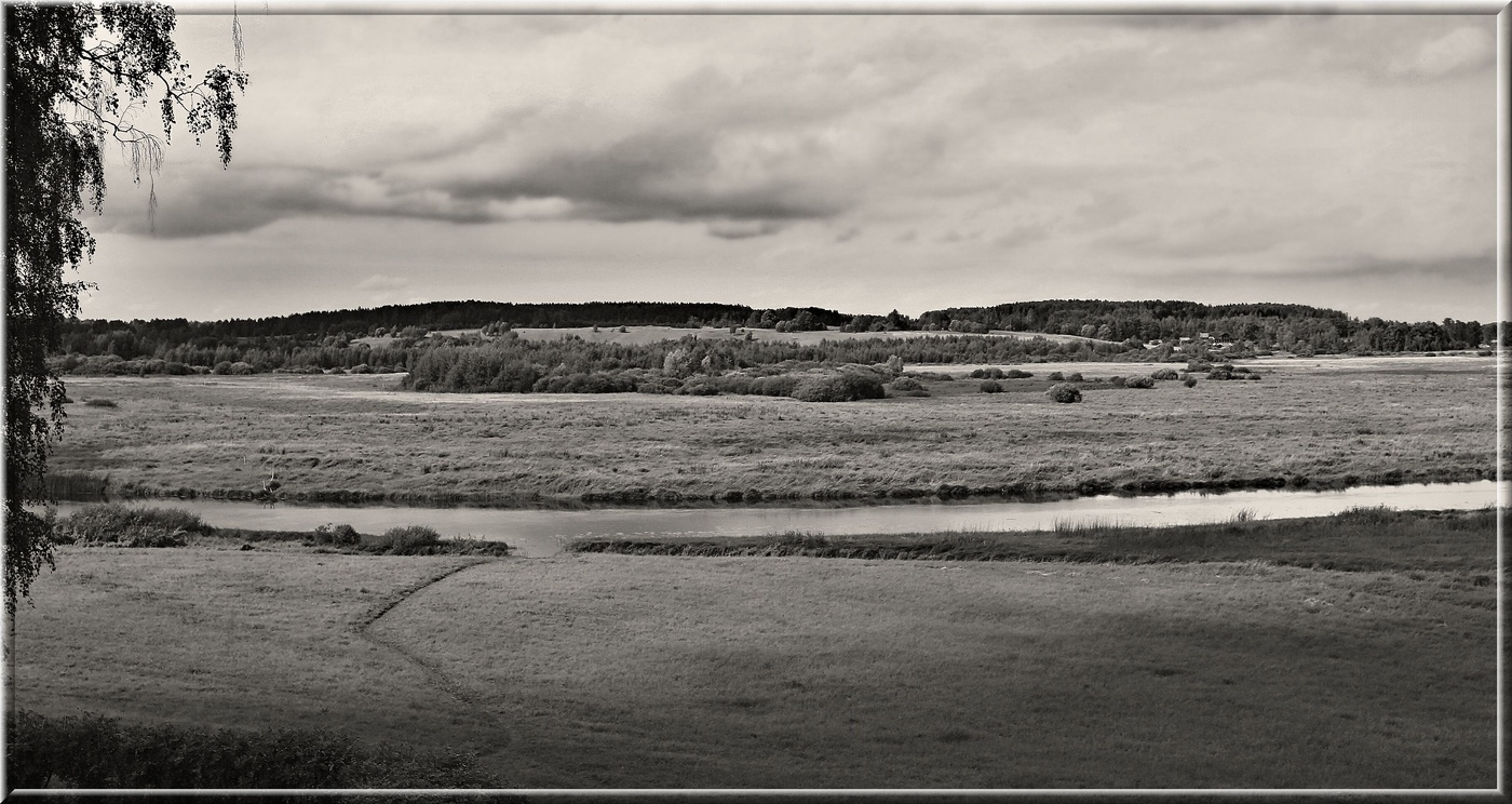 Михайловское 8