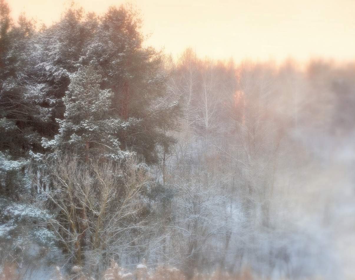 Вечер зимний