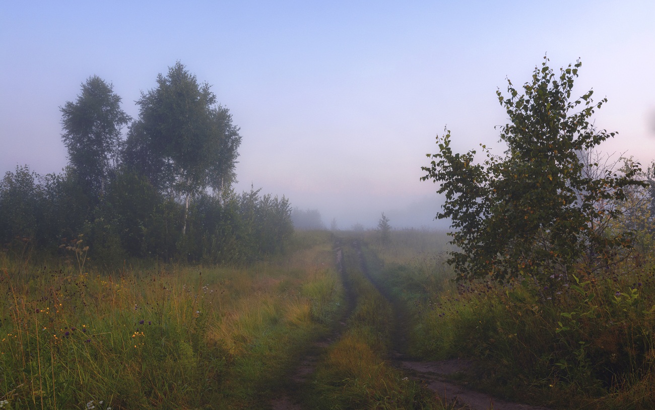 Летнее утро.