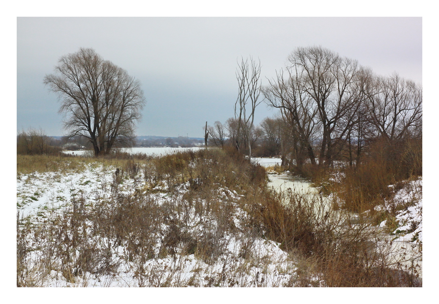 ноябрьский пейзаж