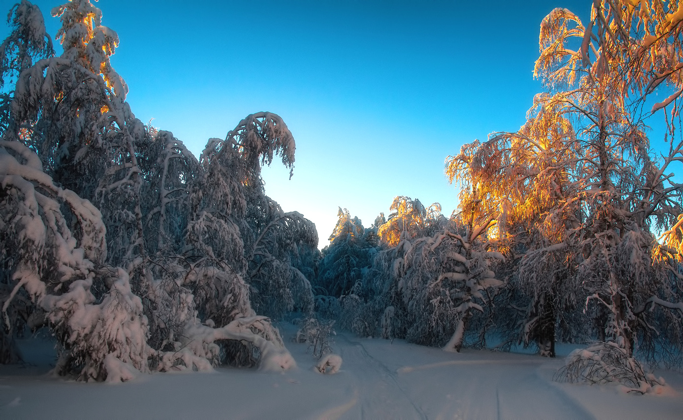 Вечерние краски