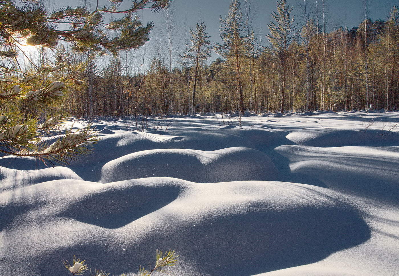 ЗИМНИМ ПОЛДНЕМ.