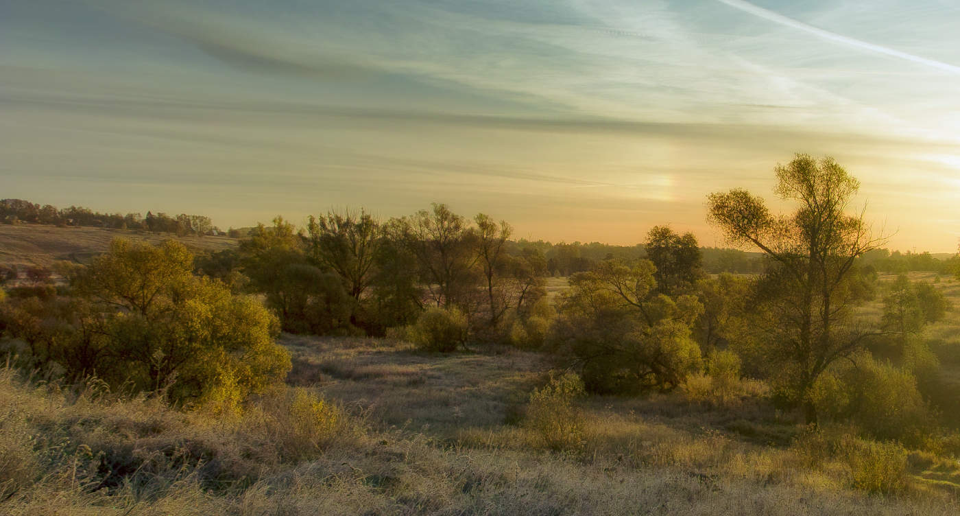 Кружево первых заморозков