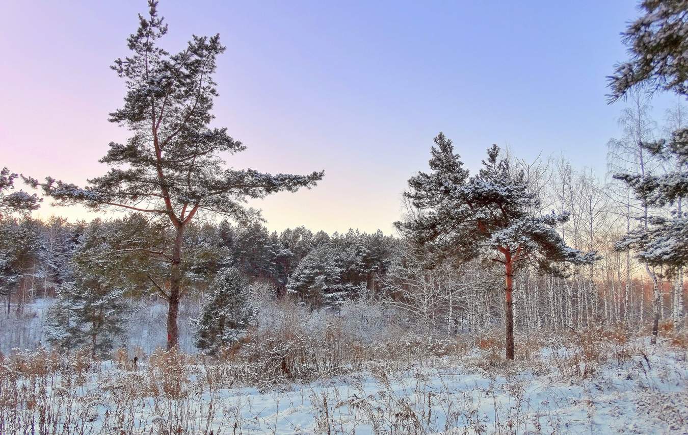 Ранний вечер