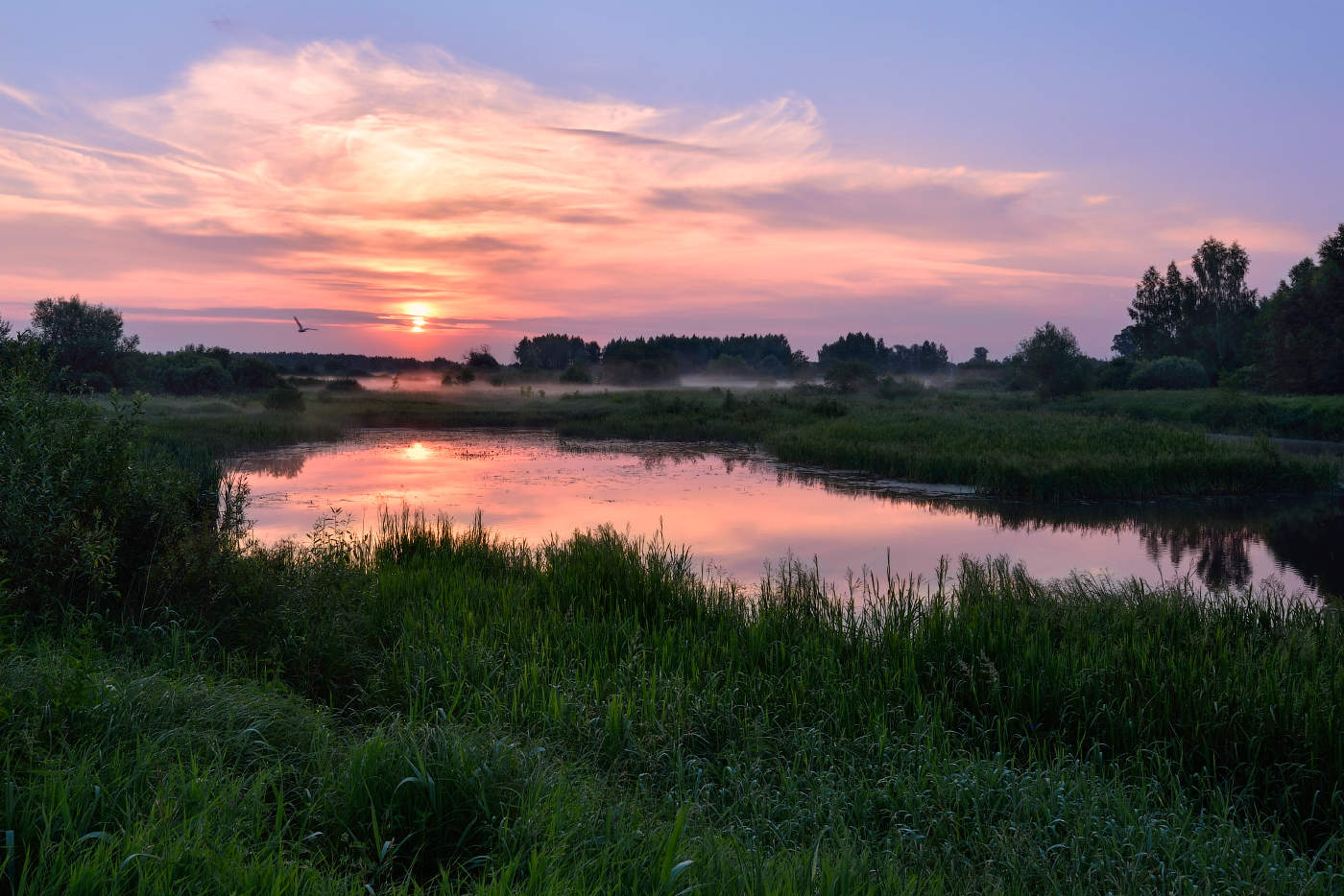 летнее утро