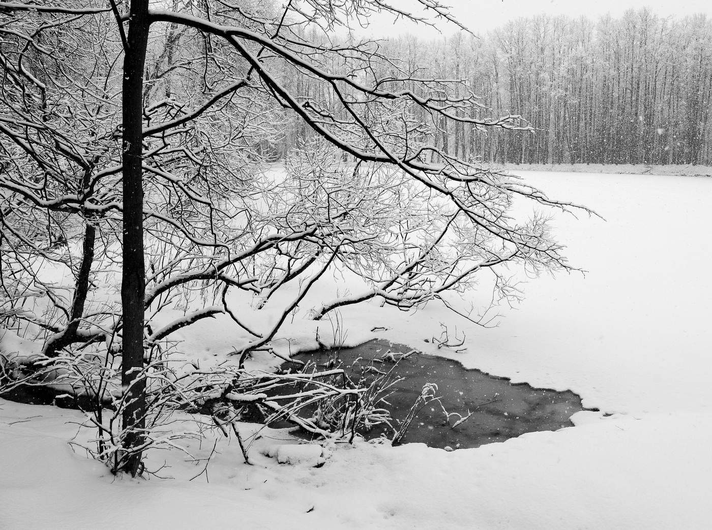 Все в снегу ...