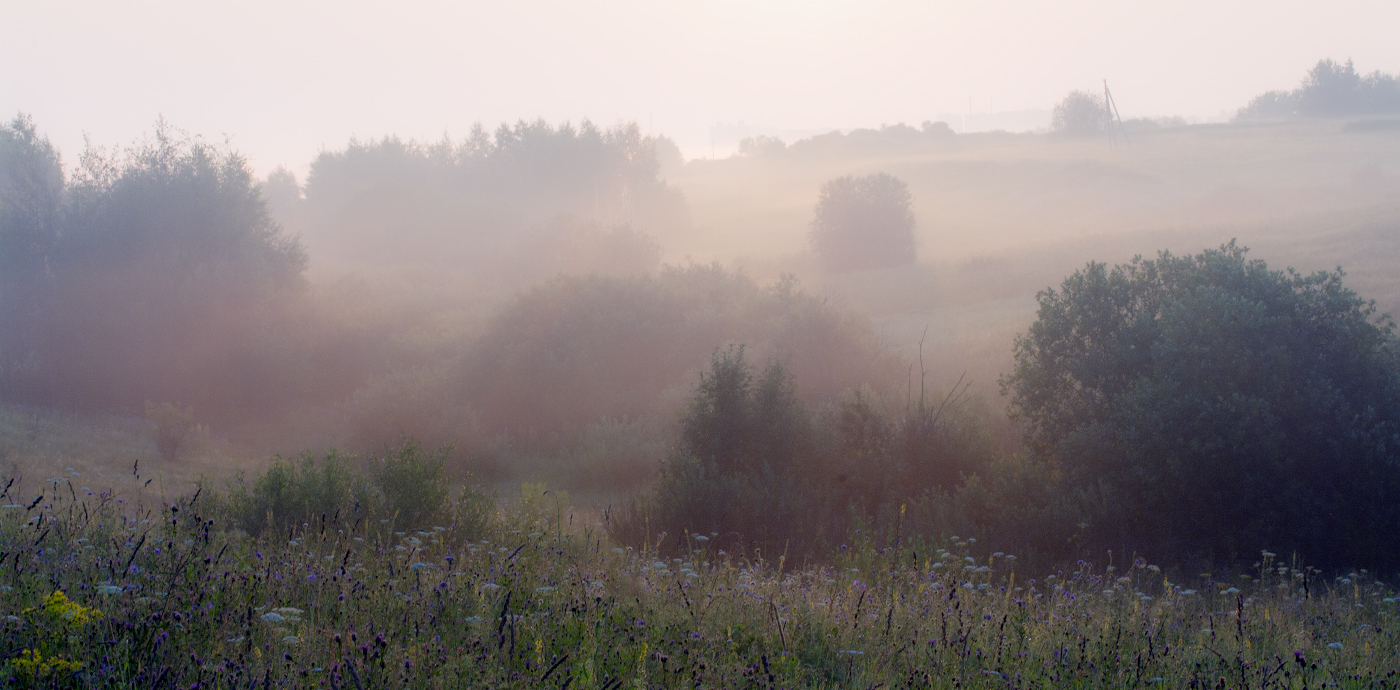Розовый рассвет
