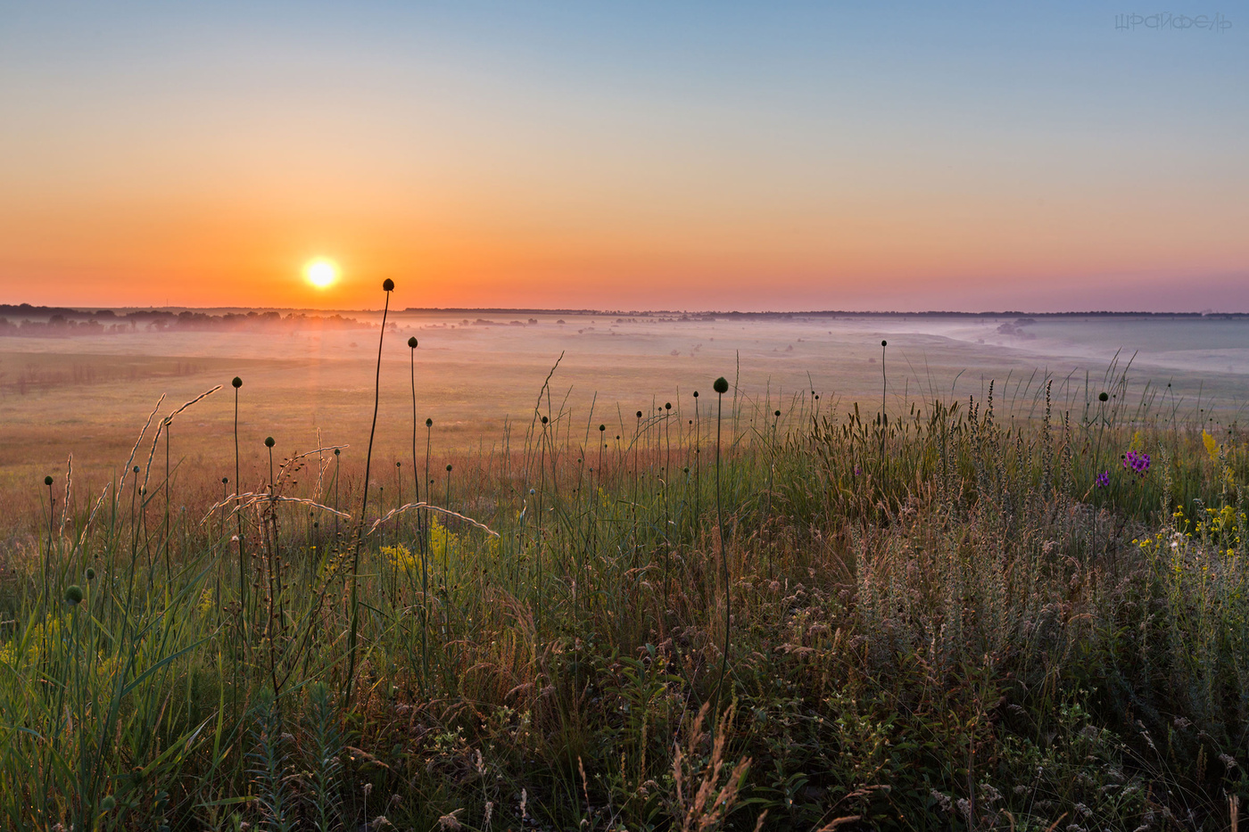 Степь да степь кругом...
