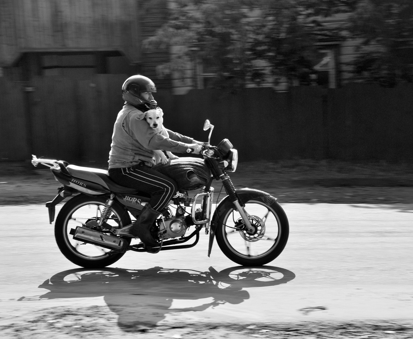 В гости к внукам ...