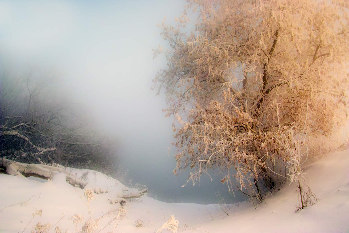 В нежном свете