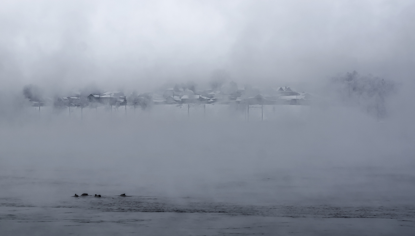 Утро туманное