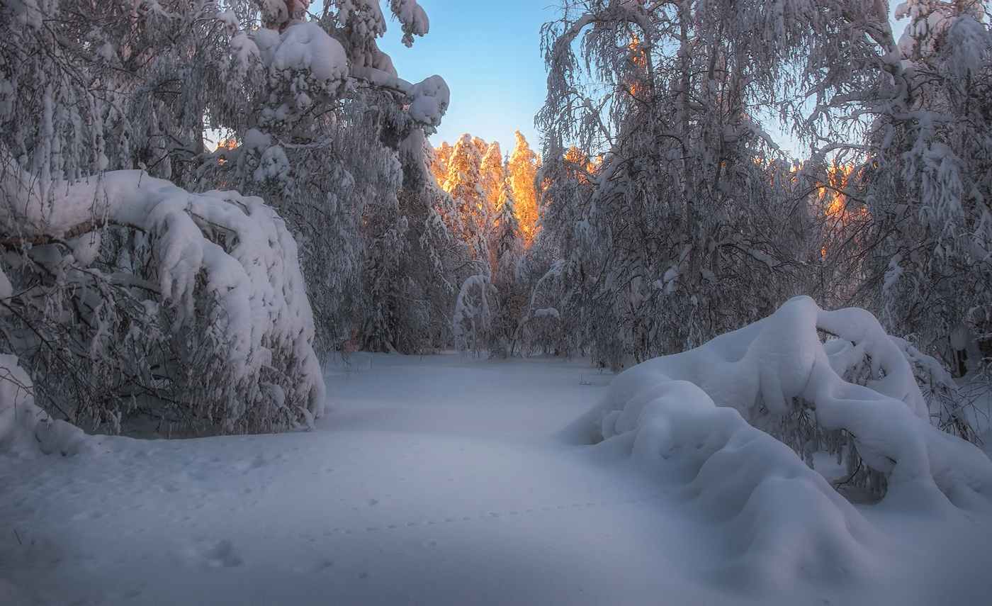 Снежное царство