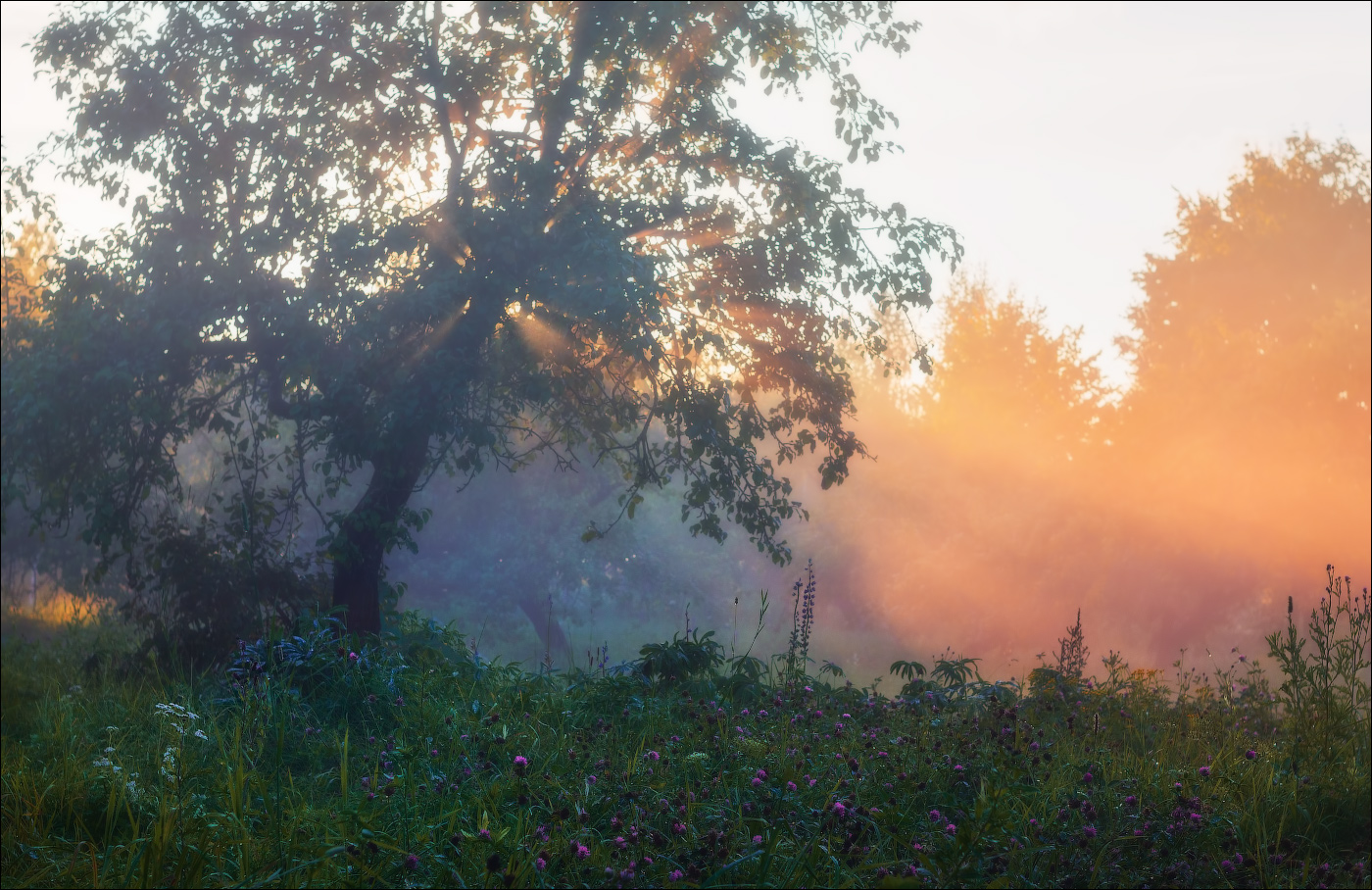 Про летний вечер