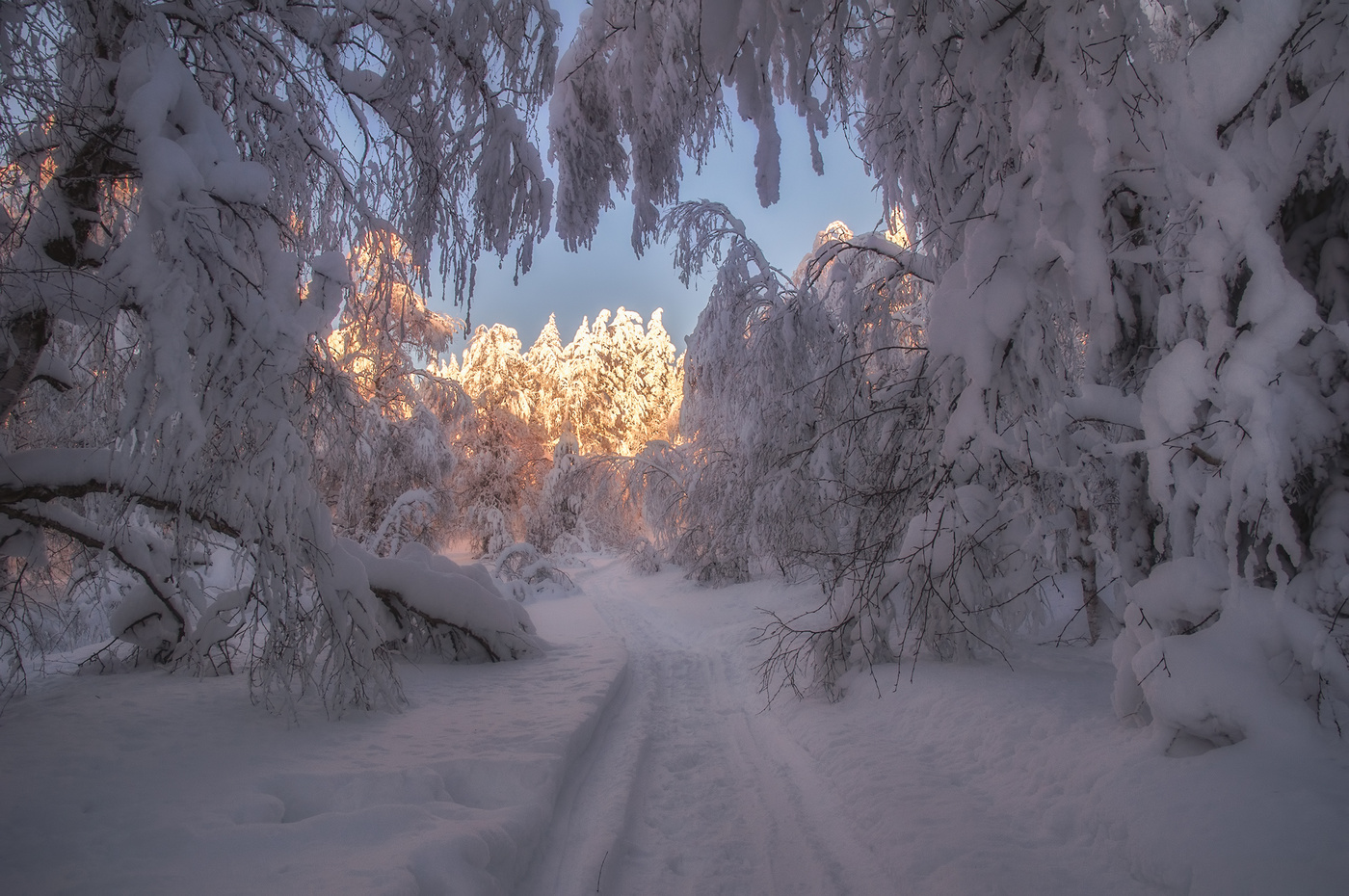 Санный путь