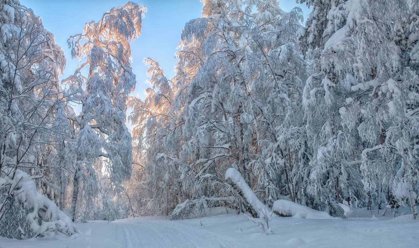 Белая стена
