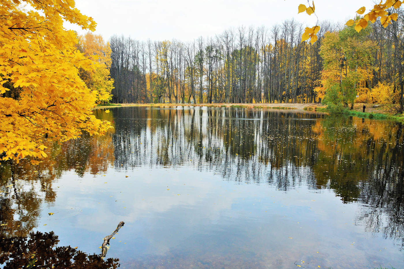 "Я спросил у осени, где моя любимая"