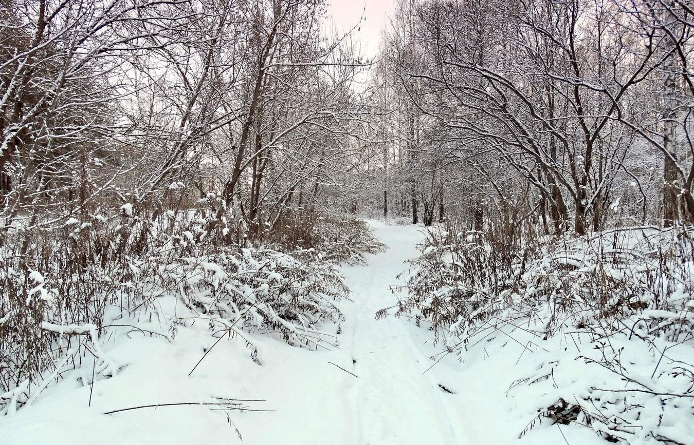 Всё засыпало снегом