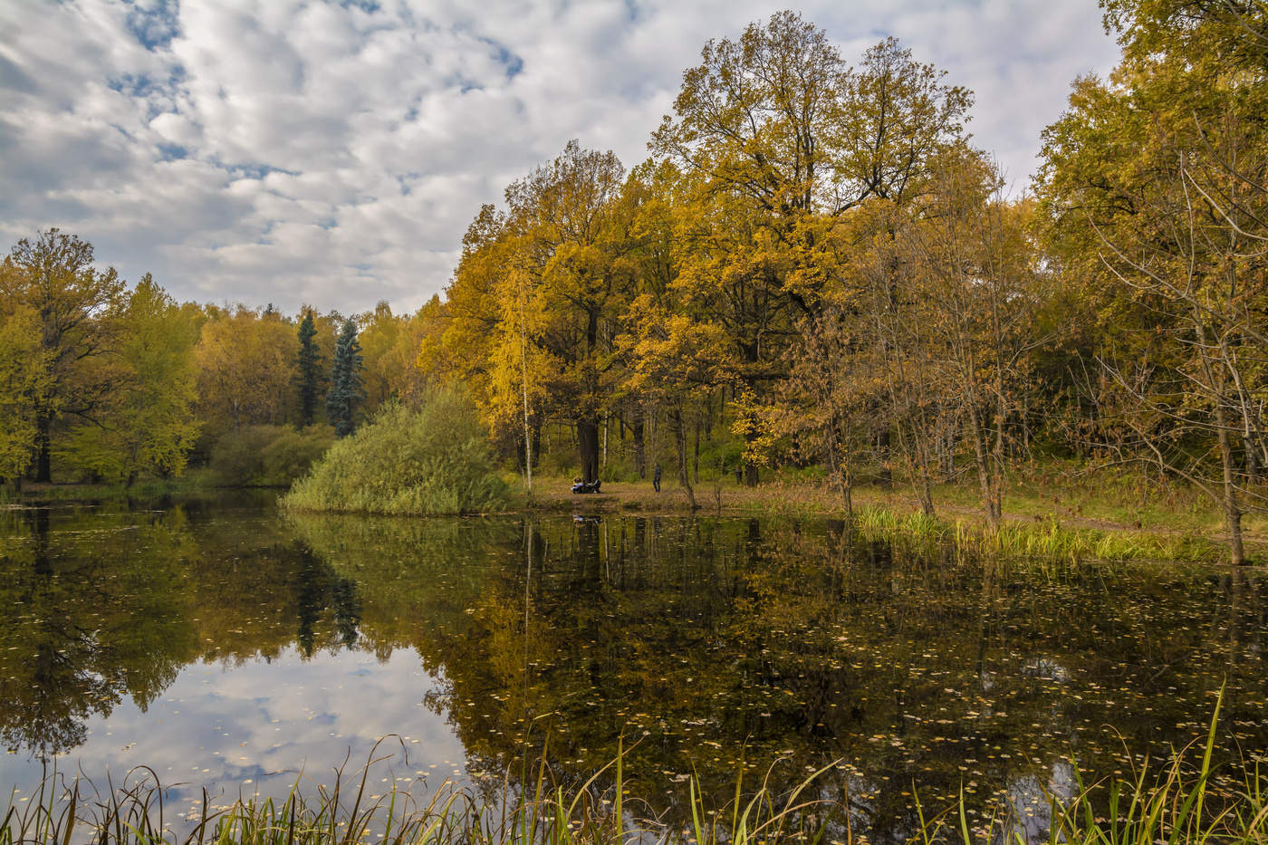Осень, осень...